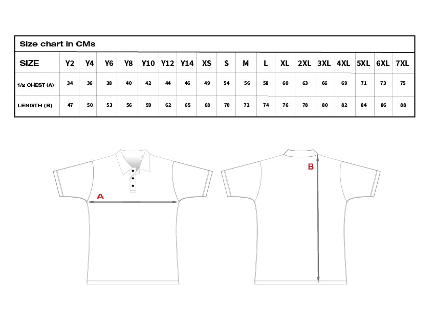 Auckland Softball - Polo